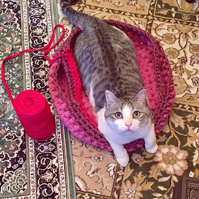 emmyyさんの実例写真