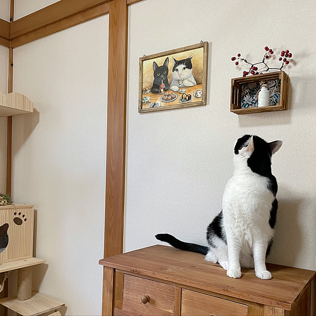 harukaさんの実例写真