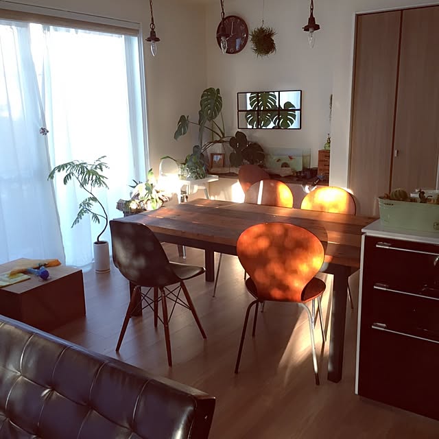 mamizoさんの実例写真
