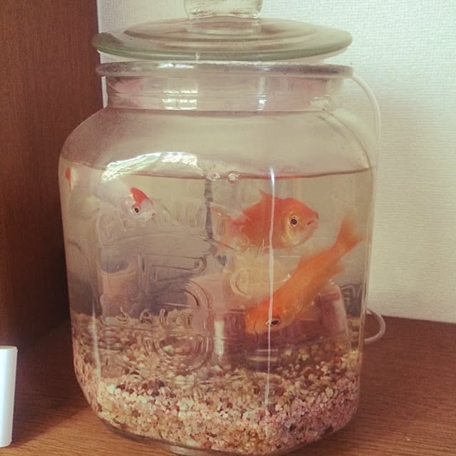 caoさんの実例写真
