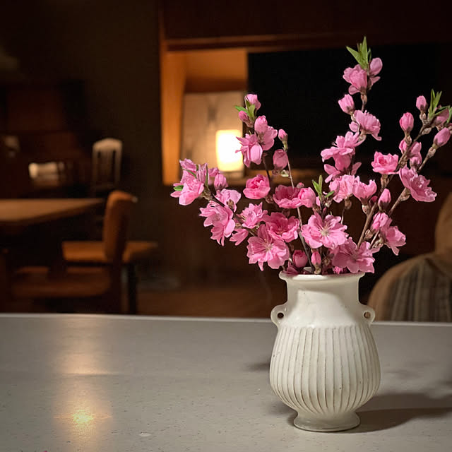 Kikko.さんの実例写真