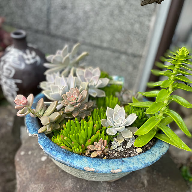 buchiさんの部屋
