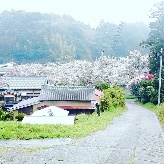 実例写真