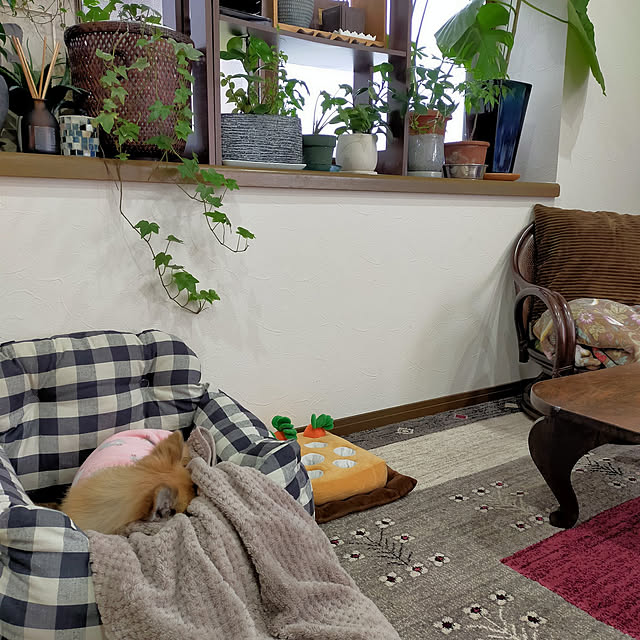 MOMO1011さんの実例写真