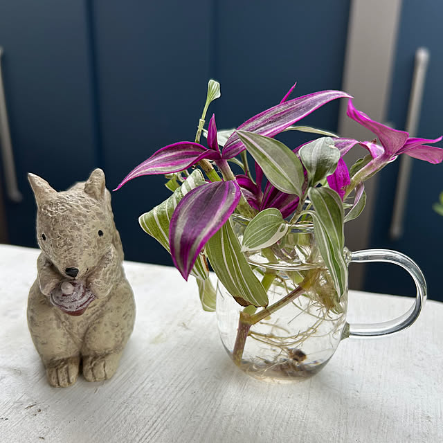 sukkorobiさんの部屋