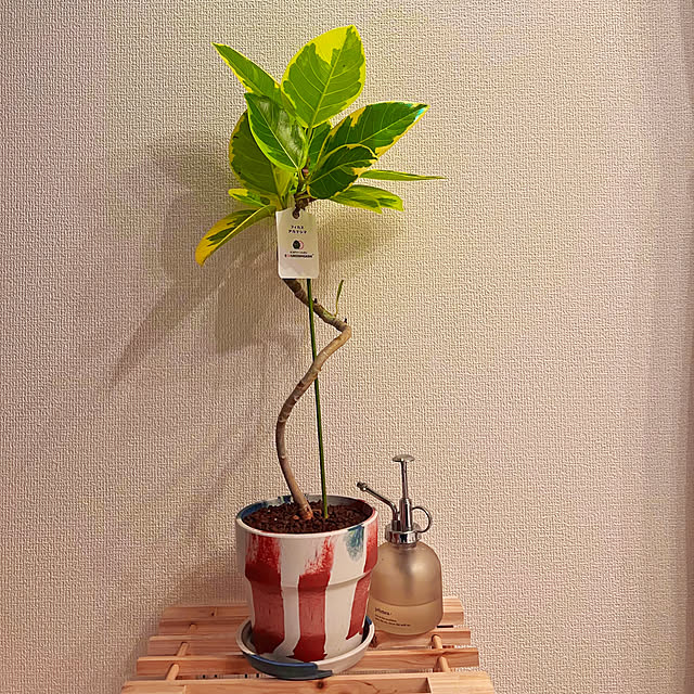 Miekiさんの実例写真