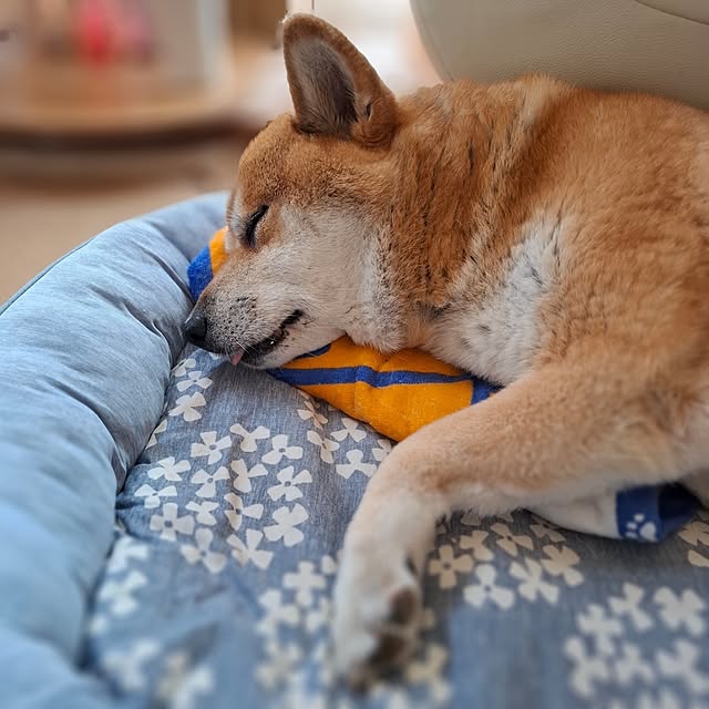nanaさんの部屋