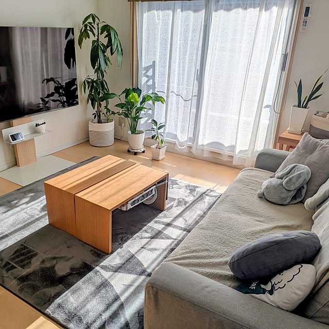 tokkoさんの実例写真