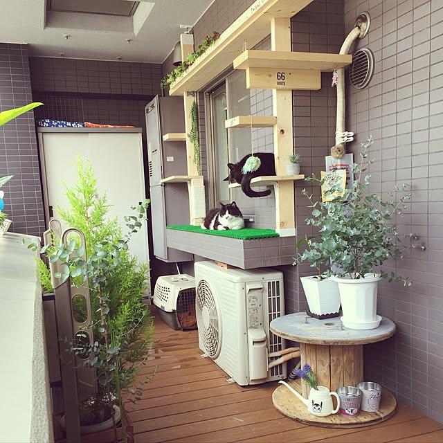 chirotanさんの実例写真