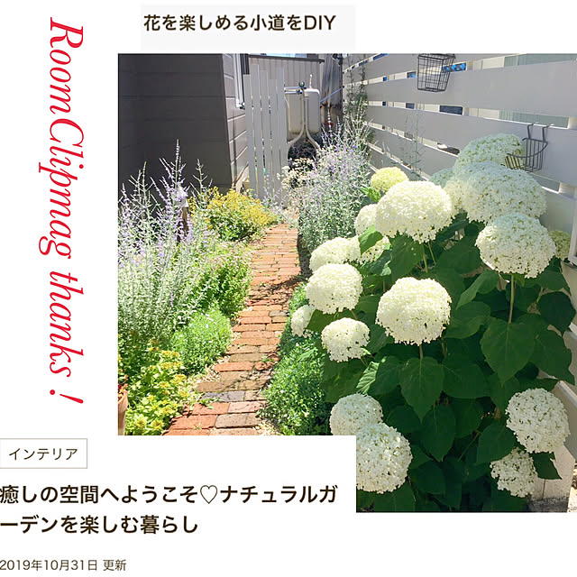 kotoriさんの実例写真