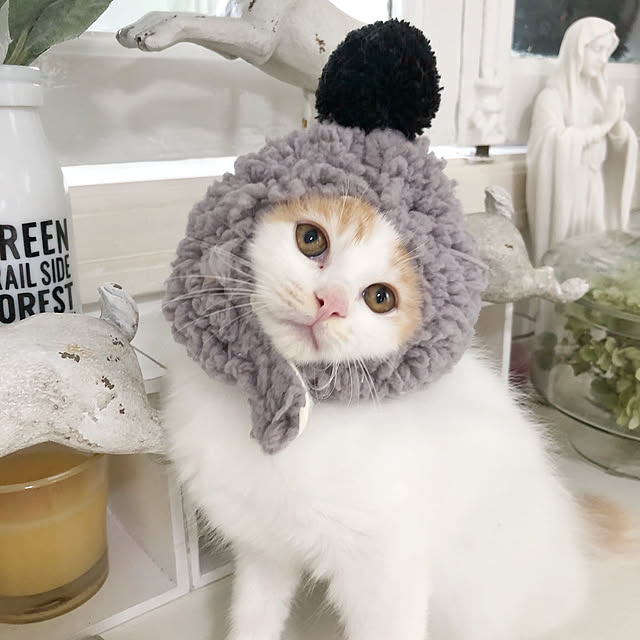 yuchiさんの実例写真