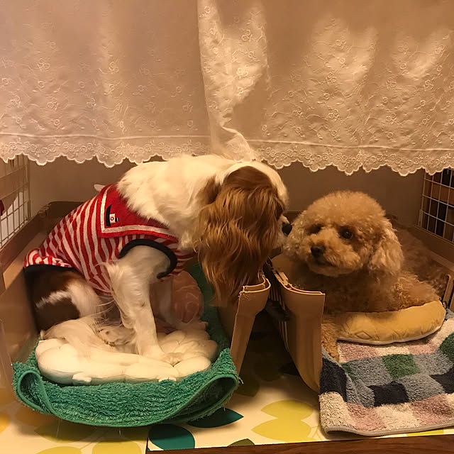 Ran.Happyさんの実例写真