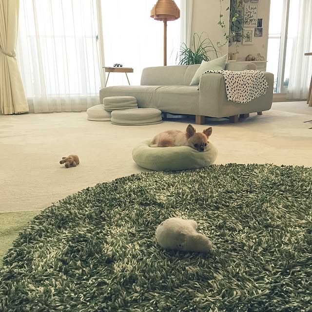 haruhinaさんの実例写真