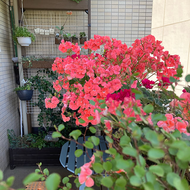 marukoさんの部屋