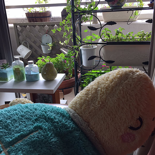 sleptcatさんの実例写真