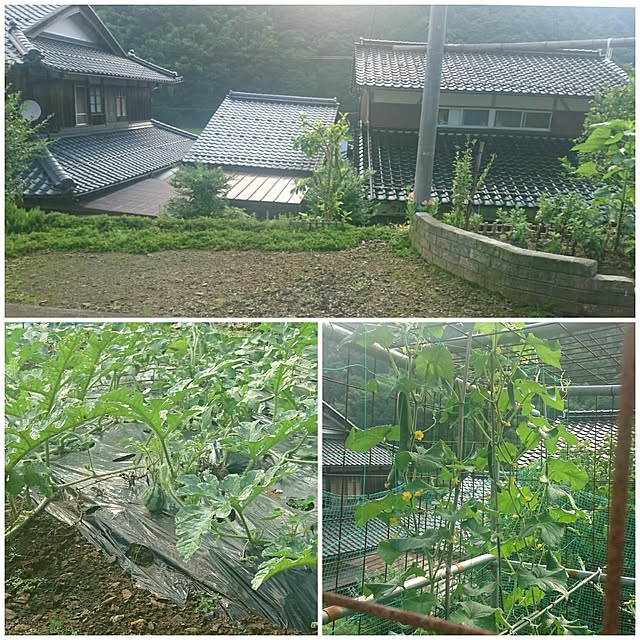 norikuuさんの実例写真