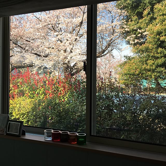 shunjiさんの実例写真
