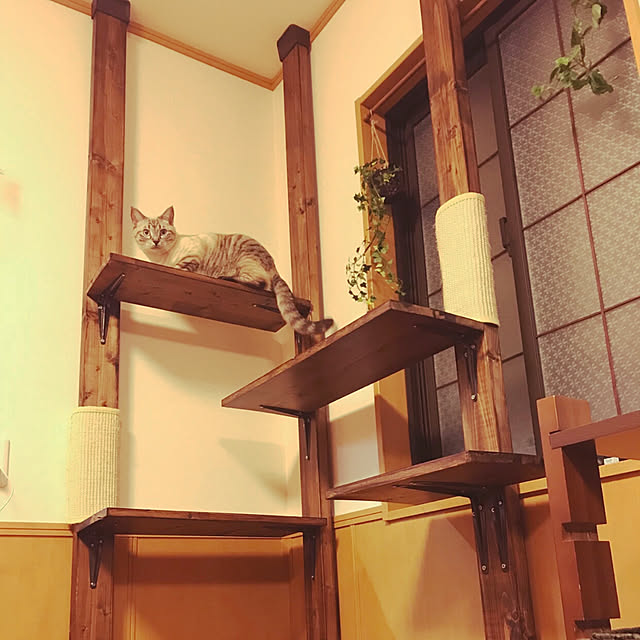 mizu.さんの実例写真