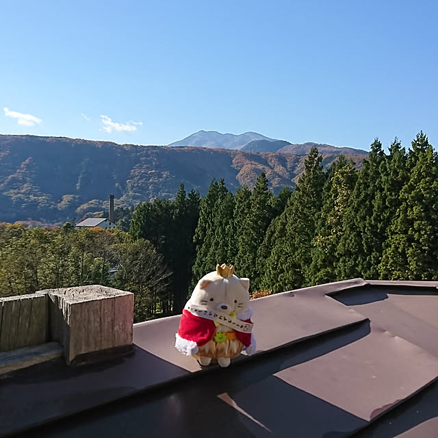 honey_beemtさんの実例写真