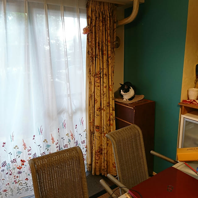 okyosan101さんの実例写真