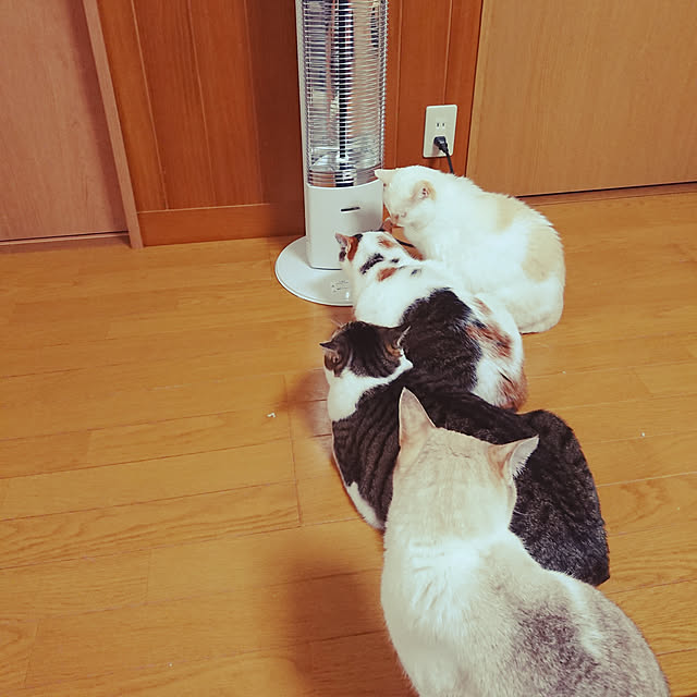 nachiさんの実例写真