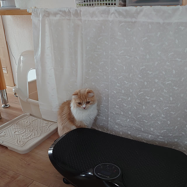 akkiiiさんの実例写真
