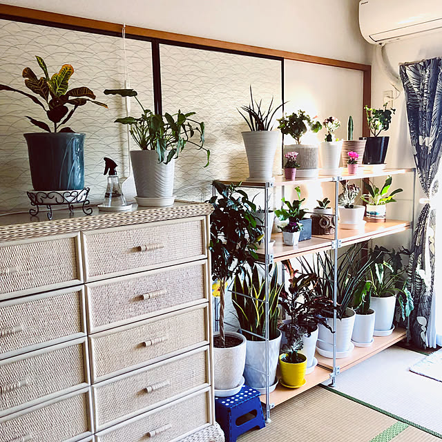 hanachanさんの部屋