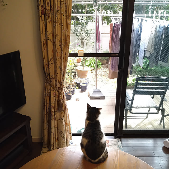 okyosan101さんの実例写真