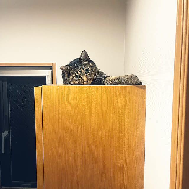 Mさんの部屋