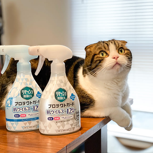 tansukeさんの実例写真