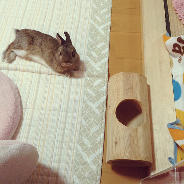 yuzu0223さんの実例写真