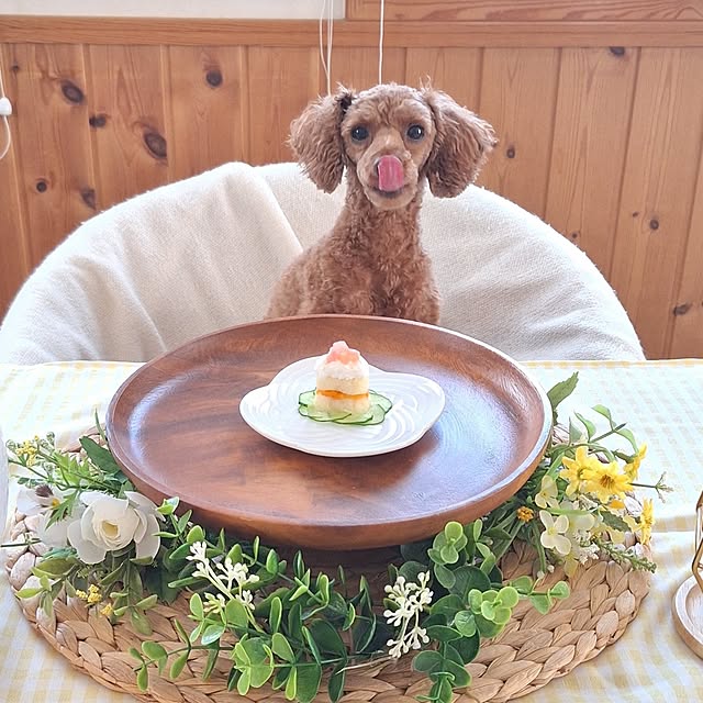 Blancheさんの部屋