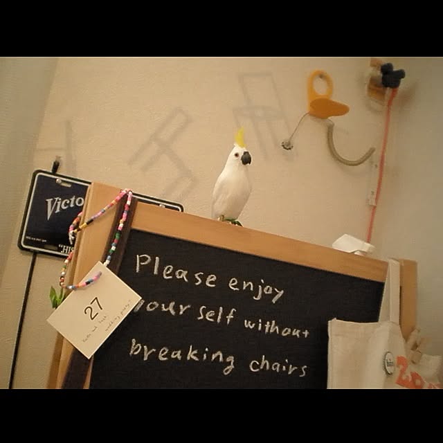 Toruさんの実例写真