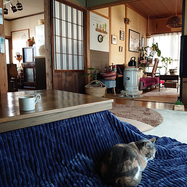 fukuさんの実例写真