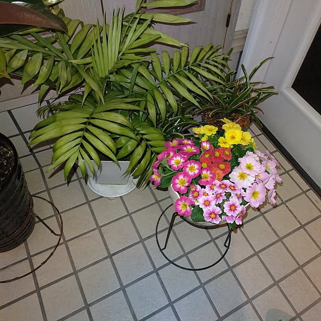 katさんの実例写真