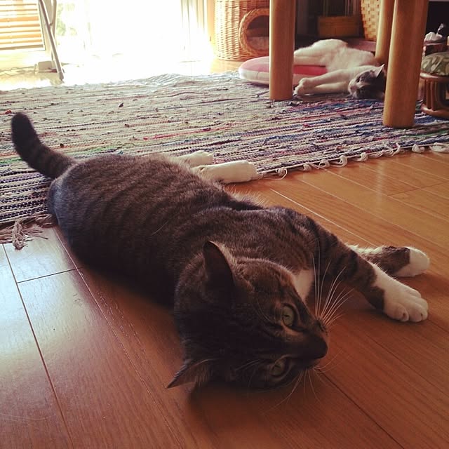 Lukiさんの実例写真