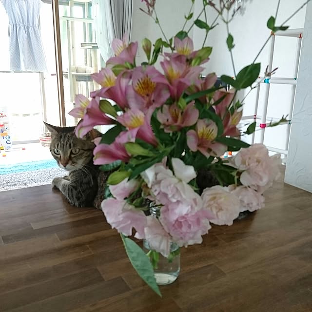 mama26さんの実例写真