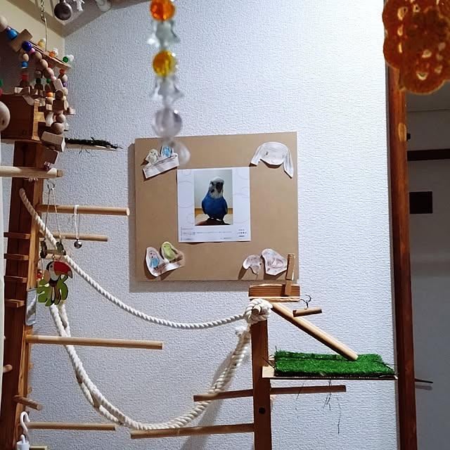 toratanさんの実例写真