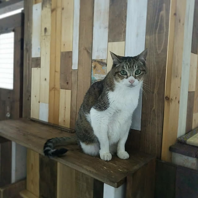Nana40Nさんの実例写真