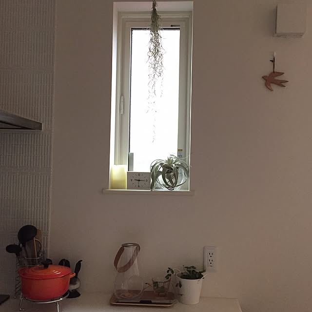 maykoさんの実例写真
