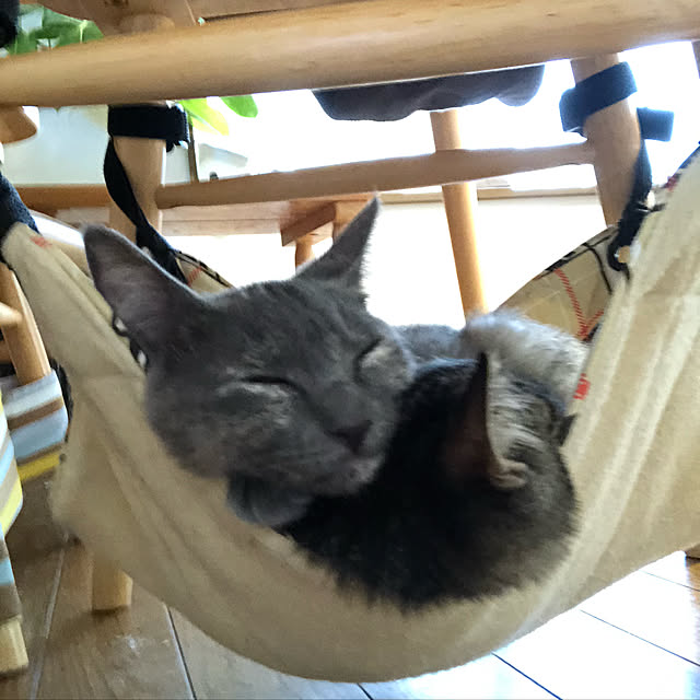mamiさんの実例写真