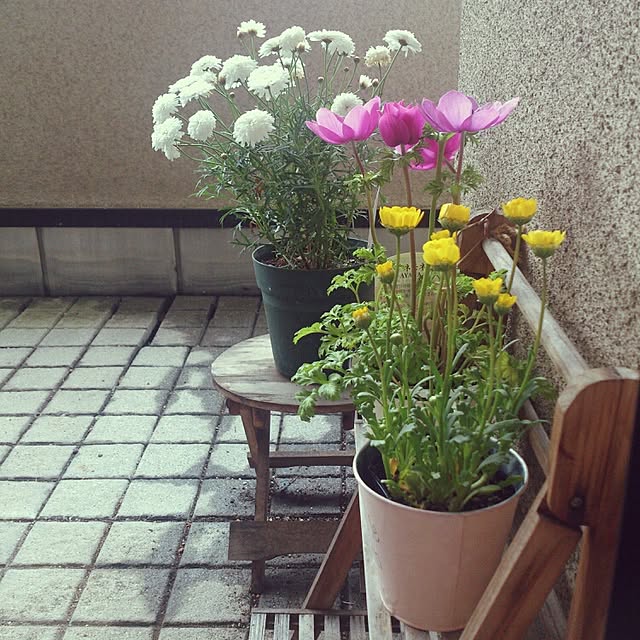 Karinさんの実例写真