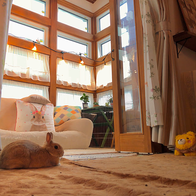 nako...さんの実例写真
