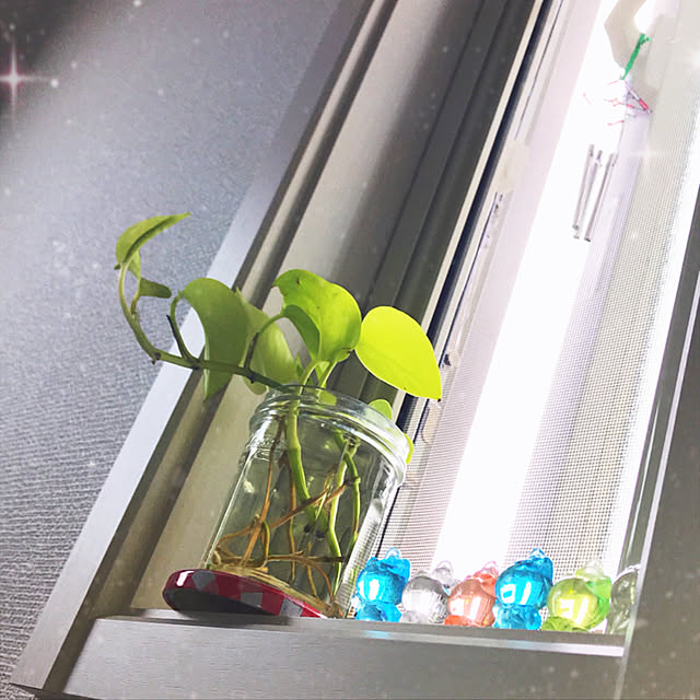 rizumu4649さんの実例写真