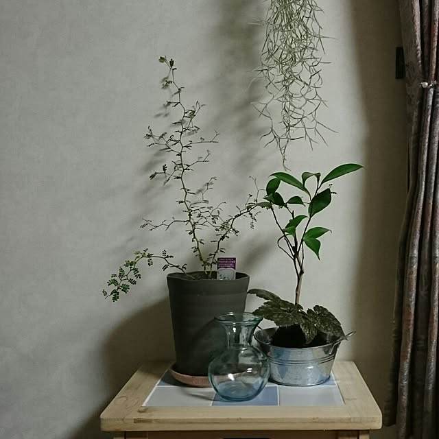 runaさんの実例写真