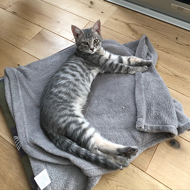 kuu511さんの実例写真