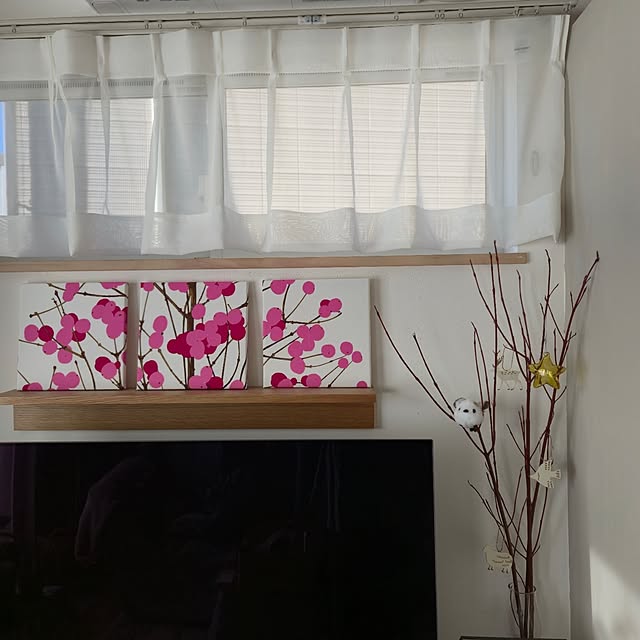 mayumiさんの実例写真