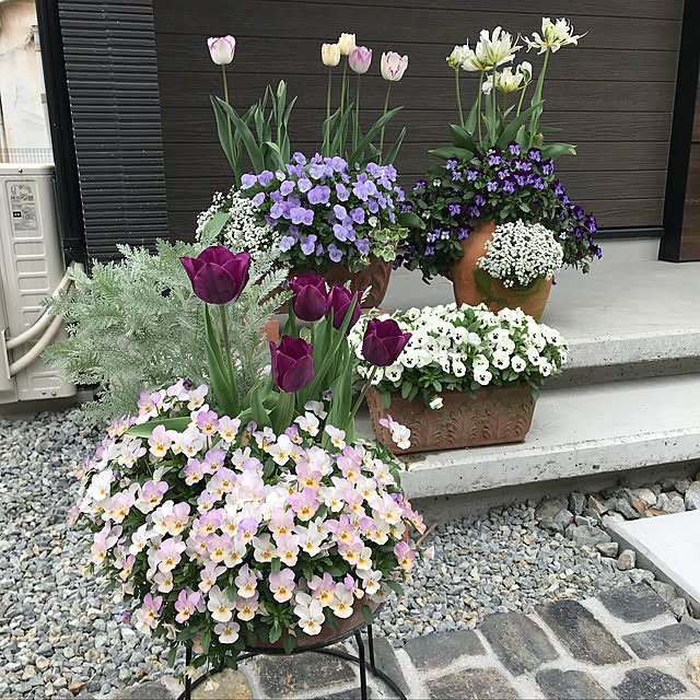 ken.ku128さんの実例写真