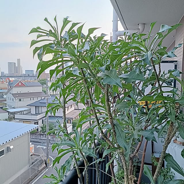 reko639さんの部屋