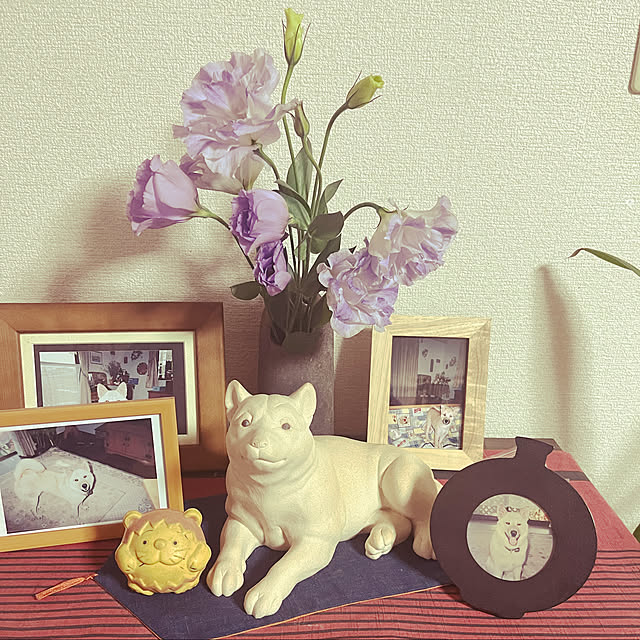 ritsukoさんの実例写真